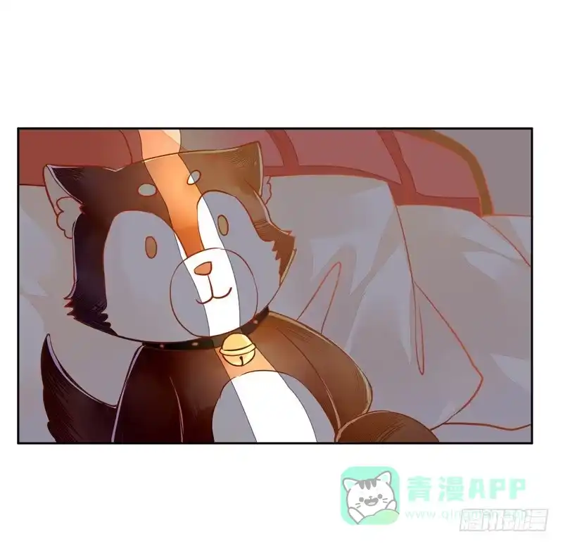 《我的金主被人抢了》023 你们给我住手！ 第6页