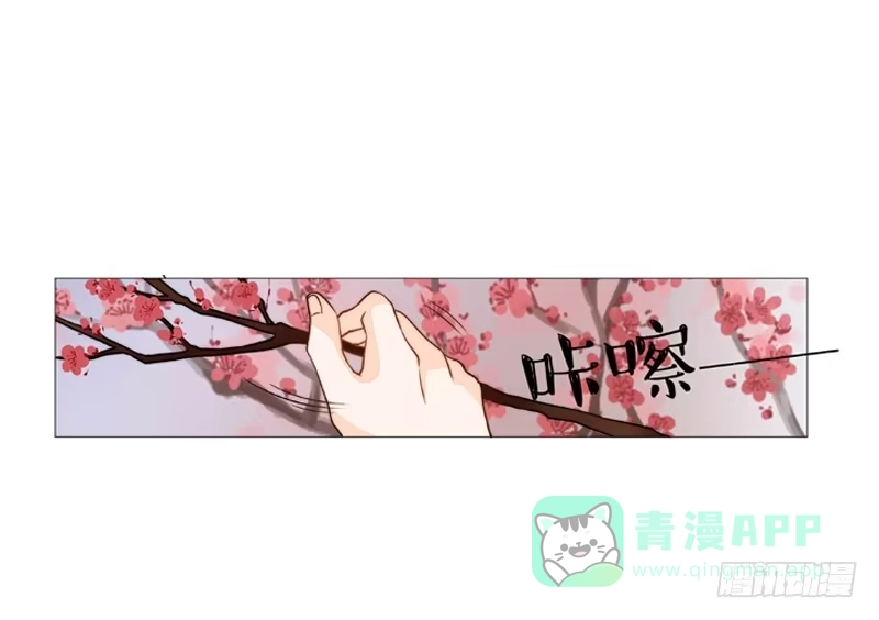 《我的金主被人抢了》005 梅花是有特殊意义的 第11页
