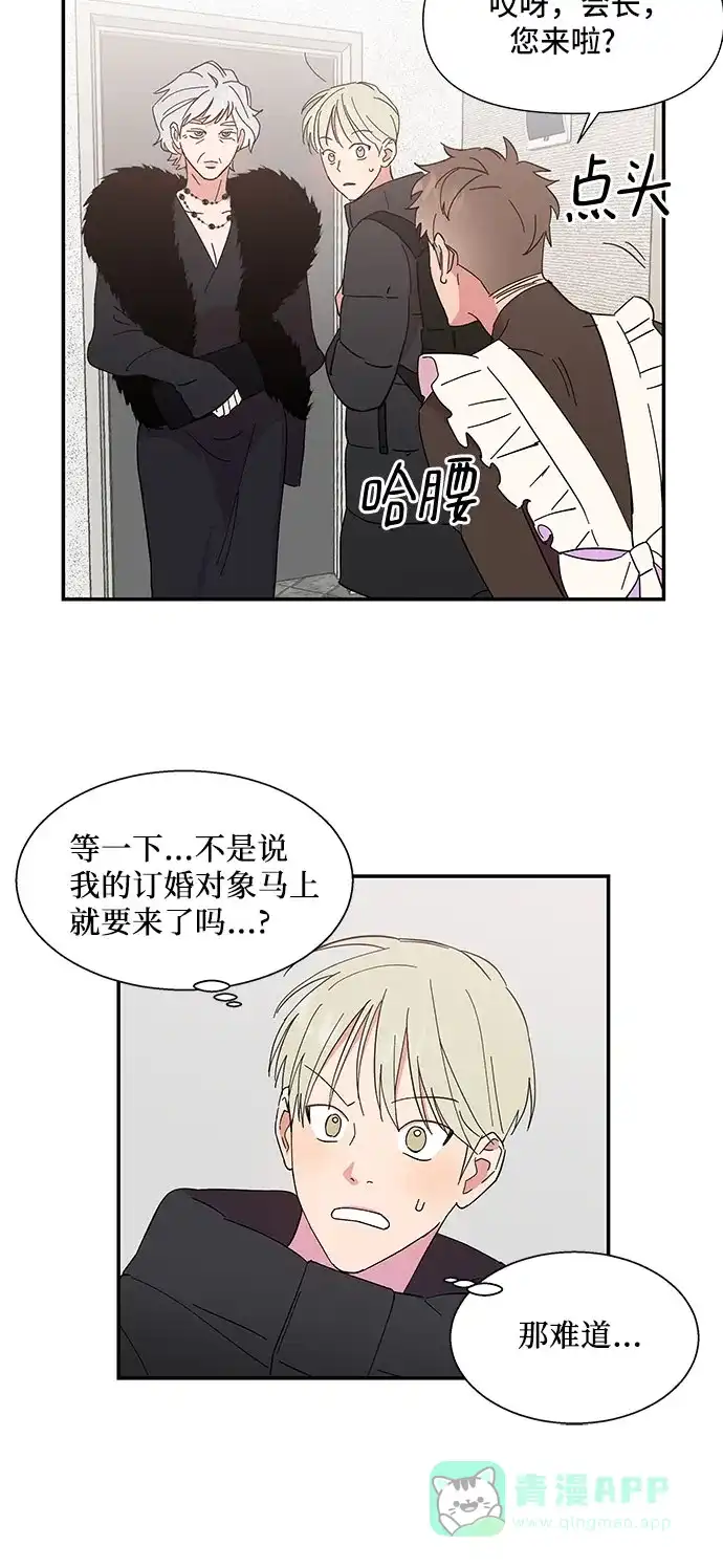 《我的美男未婚夫》第1话 第17页
