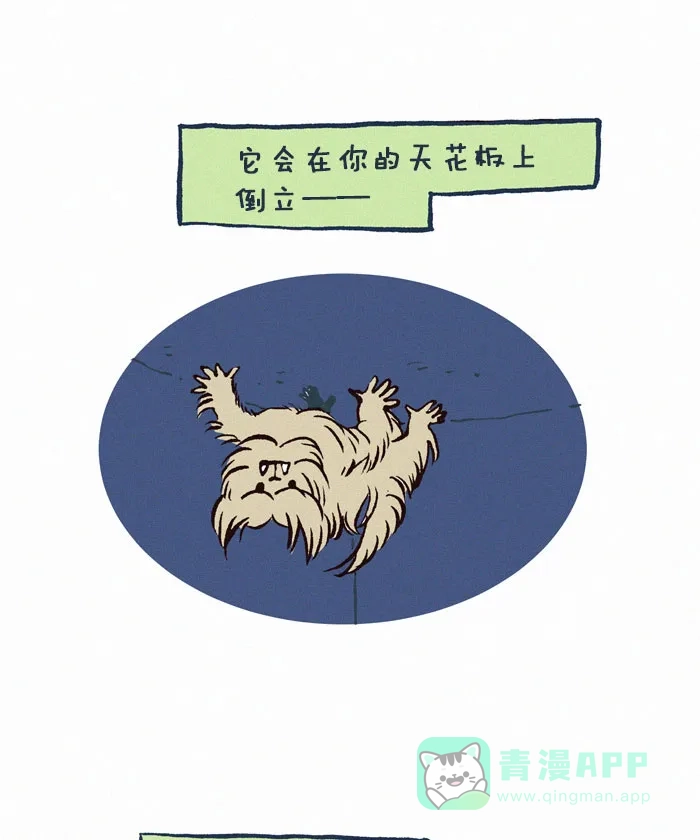 《我的傻大个男友》[第155话] 弟弟 第3页