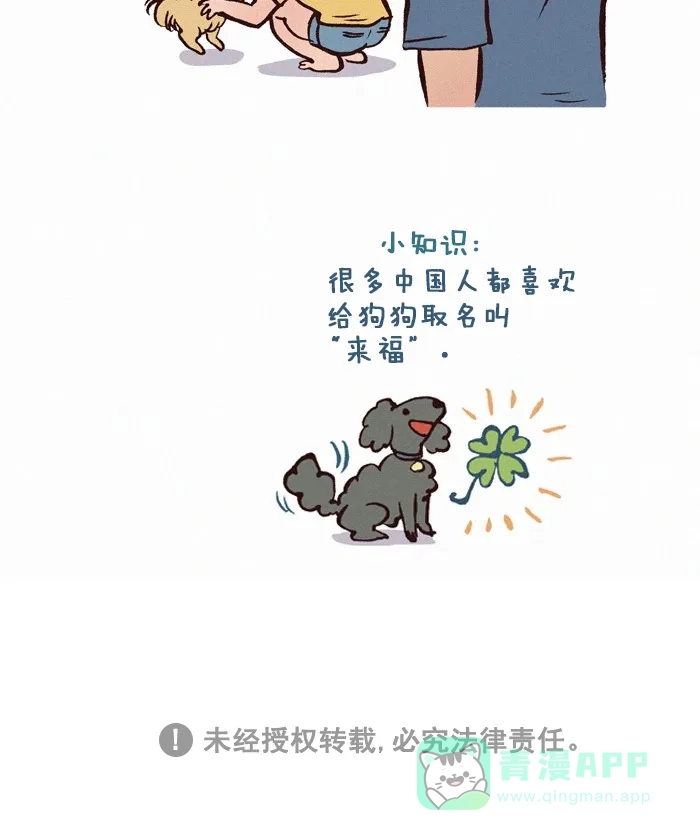 《我的傻大个男友》[第194话] 吉利的名字 第8页