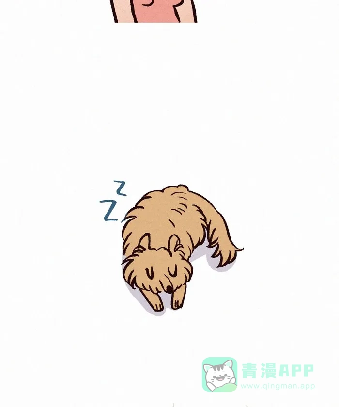 《我的傻大个男友》[第209话] 棕色的毛 第3页