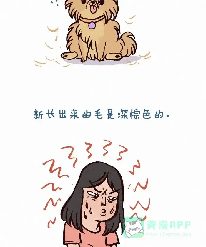 《我的傻大个男友》[第209话] 棕色的毛 第2页