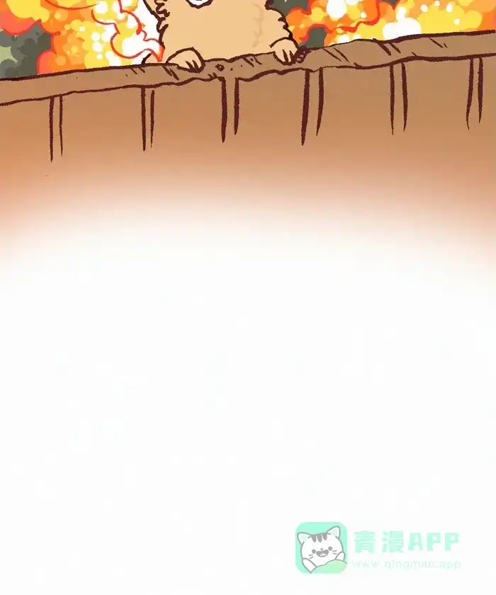 《我的傻大个男友》[第248话] 新年快乐 第18页