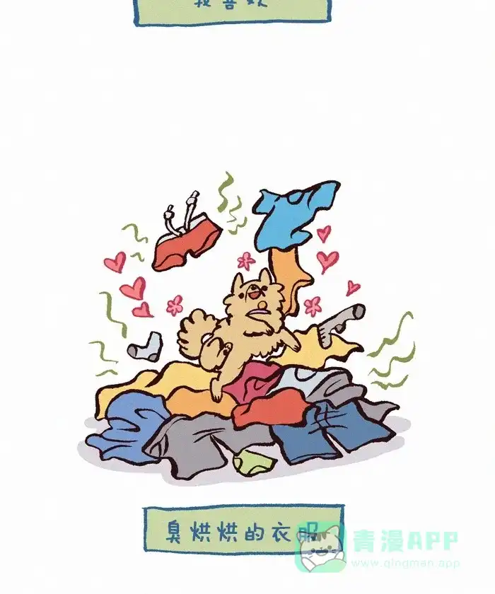 《我的傻大个男友》[第256话] 脏衣服 第3页