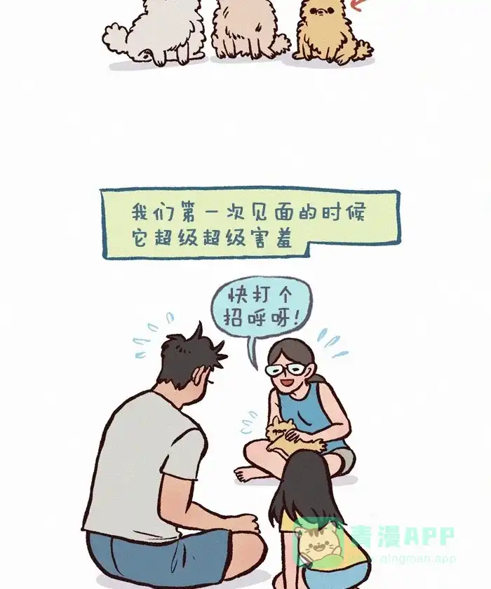 《我的傻大个男友》[第257话] 害羞 第2页