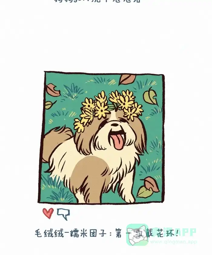 《我的傻大个男友》[第262话] 宠物照 第3页