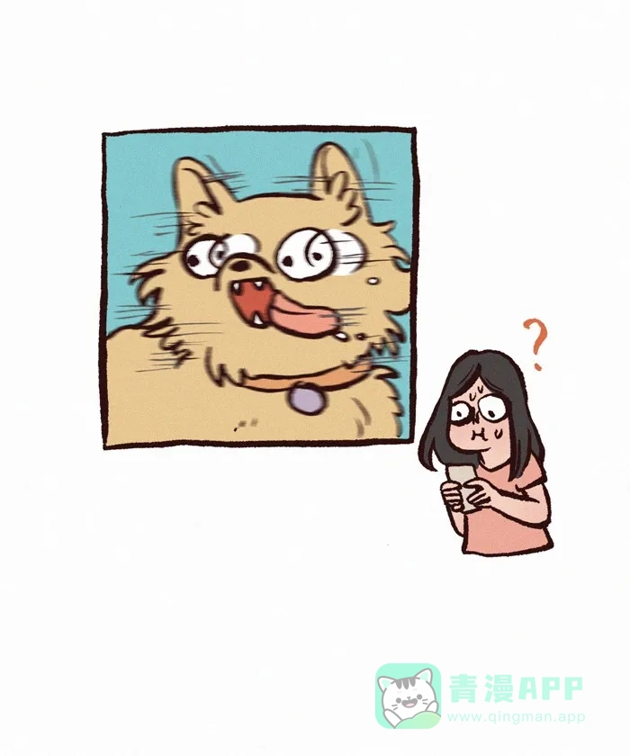 《我的傻大个男友》[第262话] 宠物照 第6页