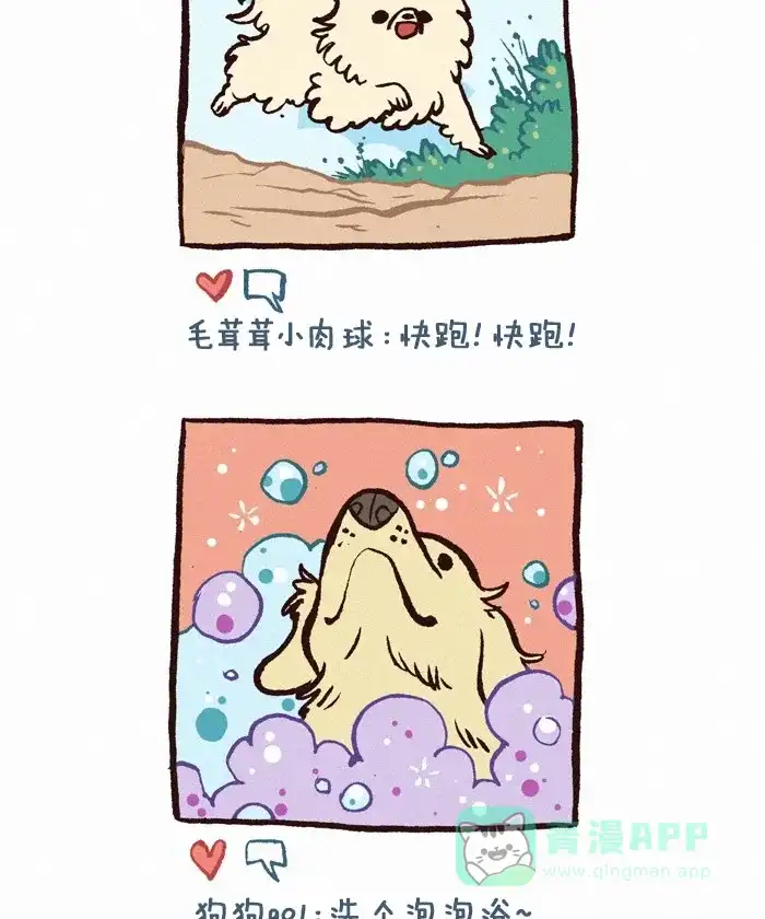 《我的傻大个男友》[第262话] 宠物照 第2页