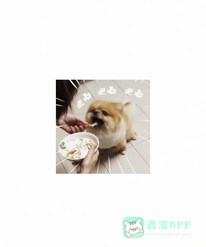 《我的傻大个男友》[第262话] 宠物照 第12页