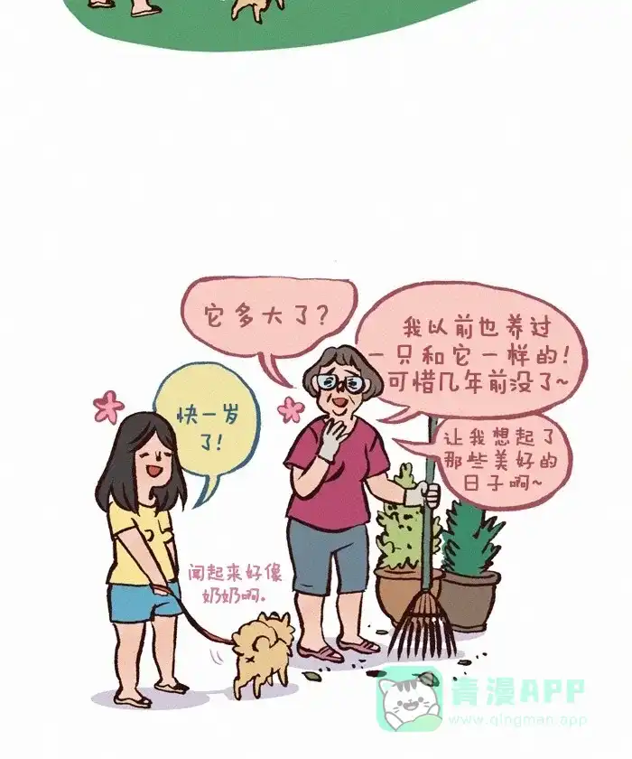 《我的傻大个男友》[第271话] 可爱的狗 第6页