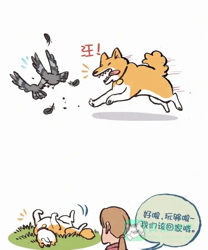 《我的傻大个男友》[第360话] 散步 第5页
