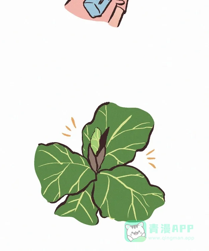 《我的傻大个男友》[第403话] 植物 第13页