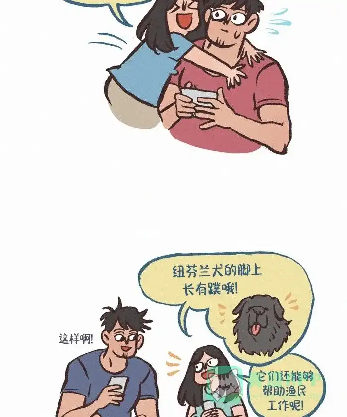 《我的傻大个男友》[第410话] 狗狗知识 第6页