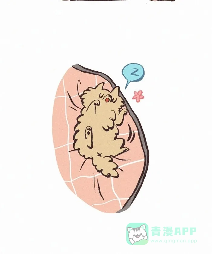 《我的傻大个男友》[第416话] 被子问题 第11页