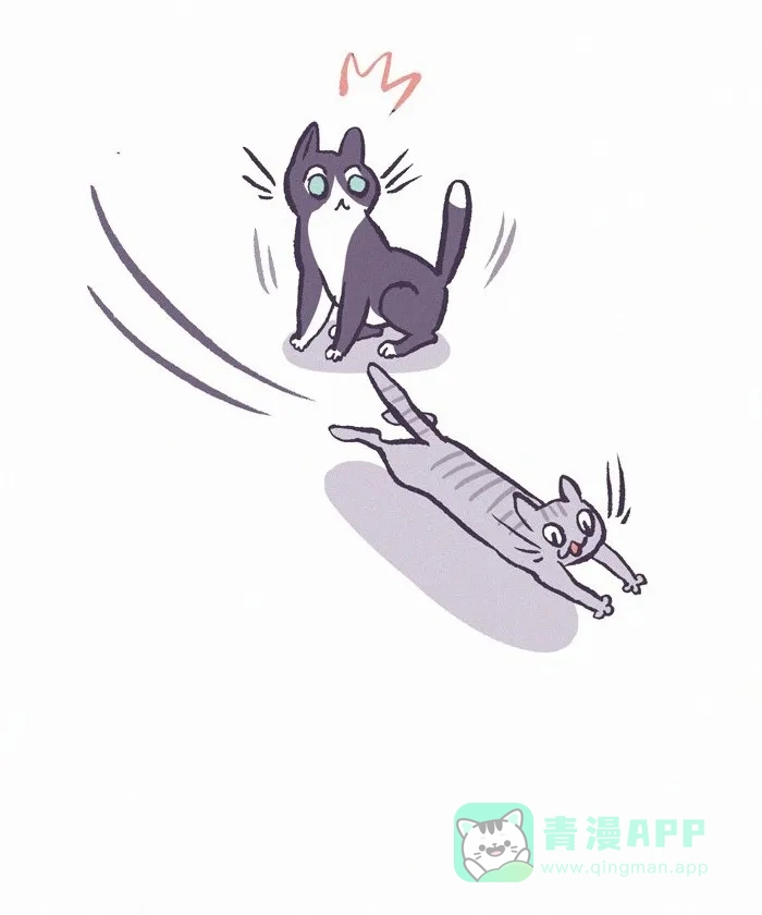 《我的傻大个男友》[第419话] 流浪猫 第11页