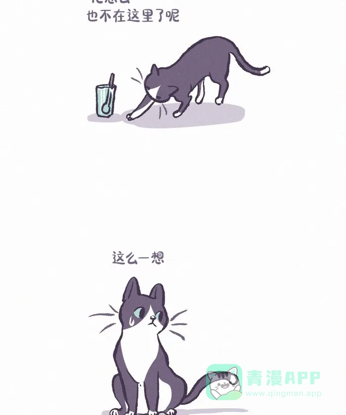 《我的傻大个男友》[第419话] 流浪猫 第8页