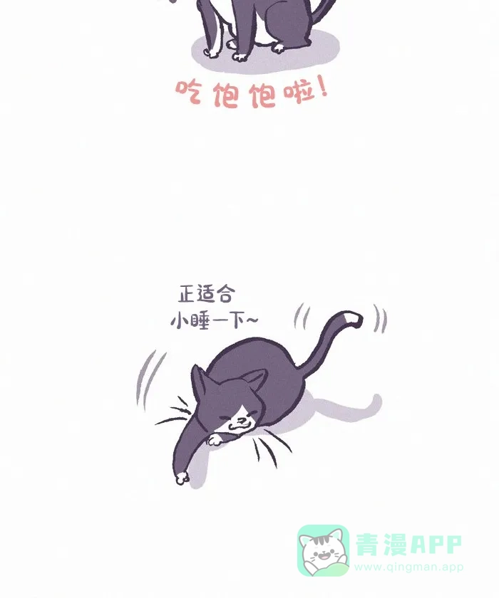 《我的傻大个男友》[第419话] 流浪猫 第17页