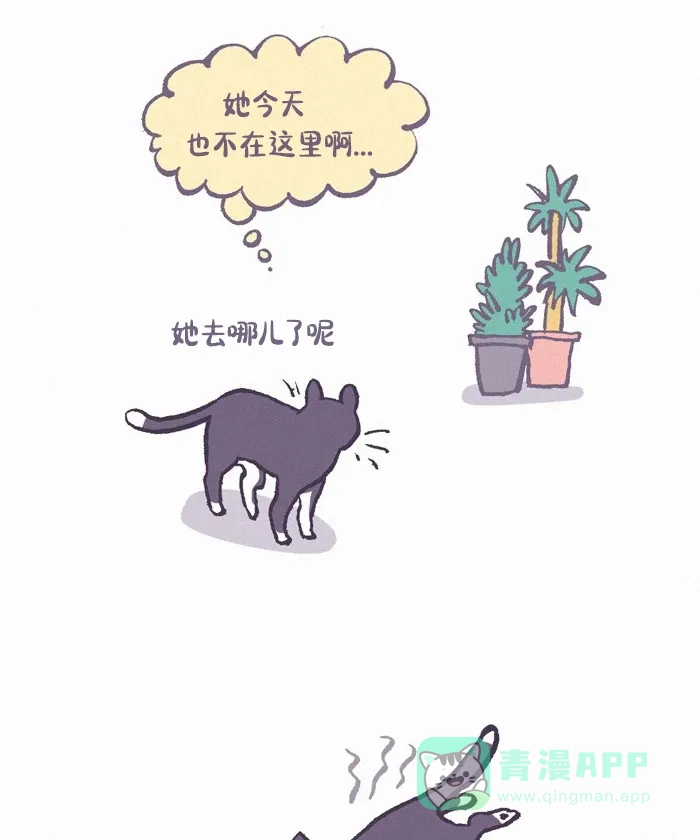 《我的傻大个男友》[第419话] 流浪猫 第5页
