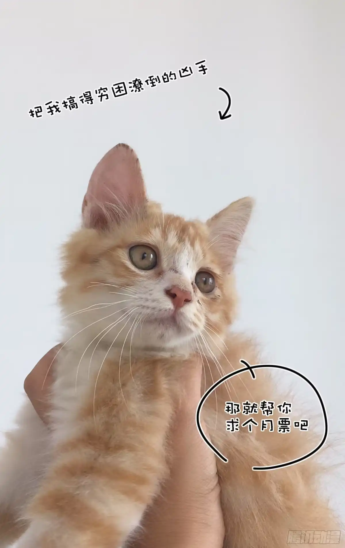 《我的上帝视角》017-审判 第18页