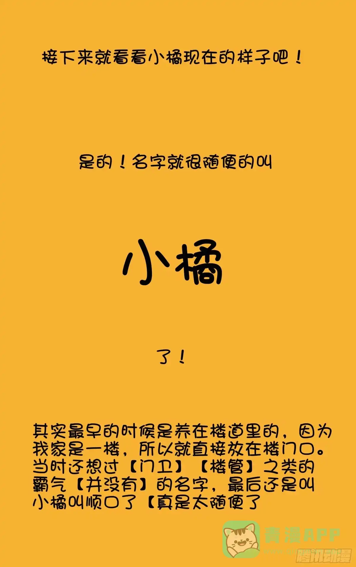 《我的上帝视角》番外 第6页
