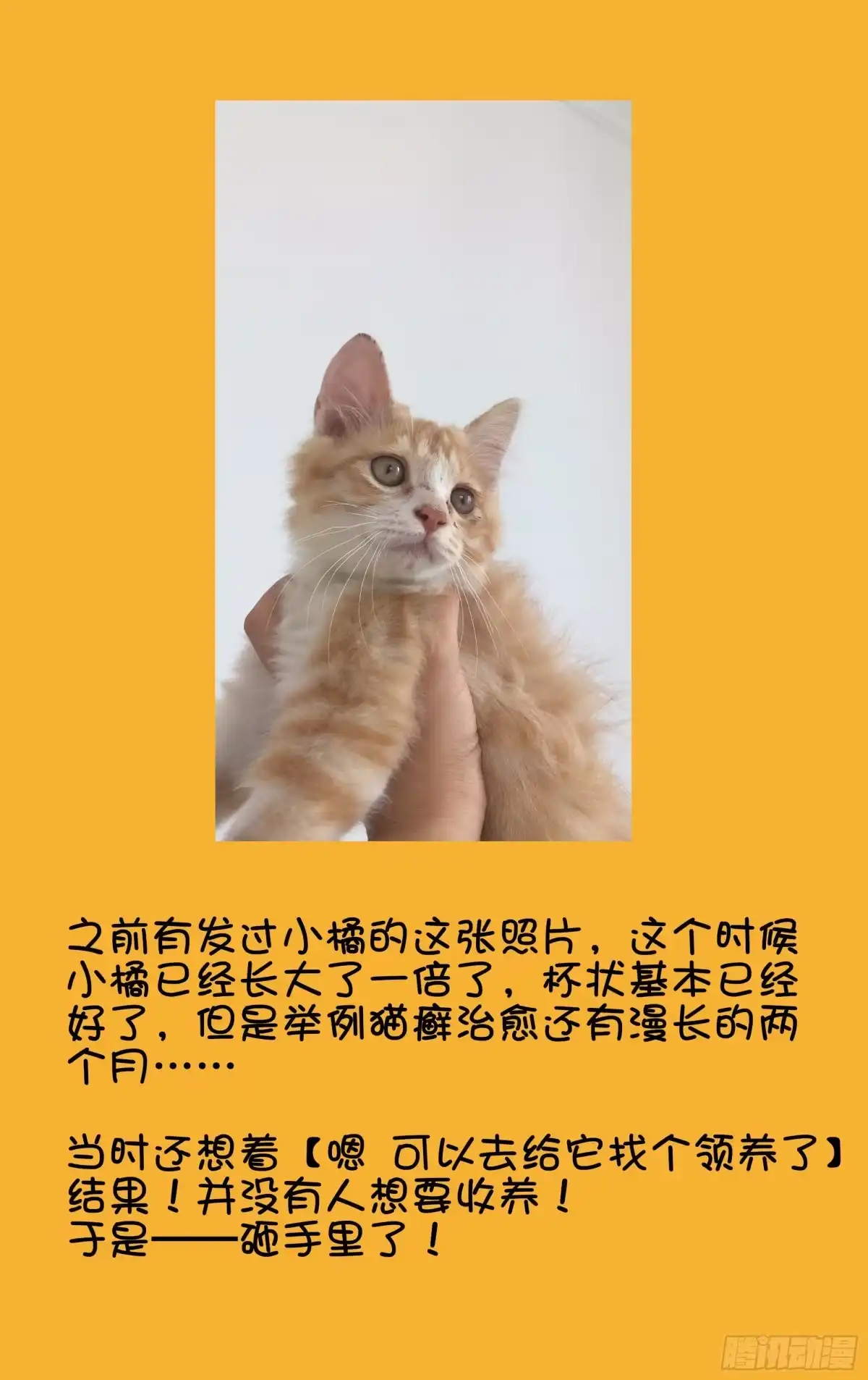 《我的上帝视角》番外 第5页
