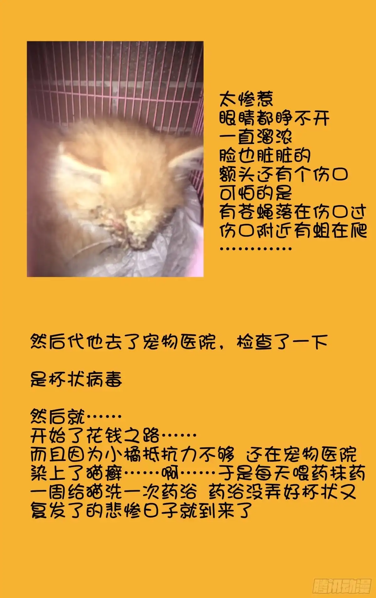 《我的上帝视角》番外 第4页