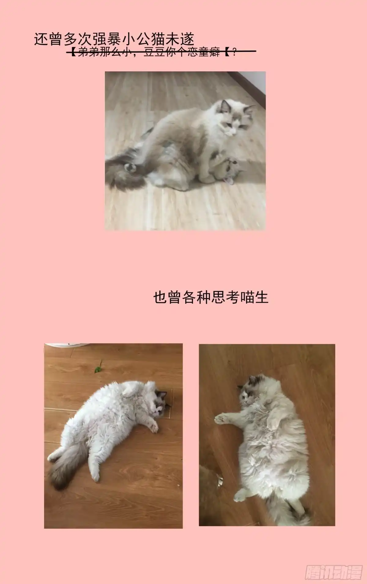 《我的上帝视角》036-时间 第24页