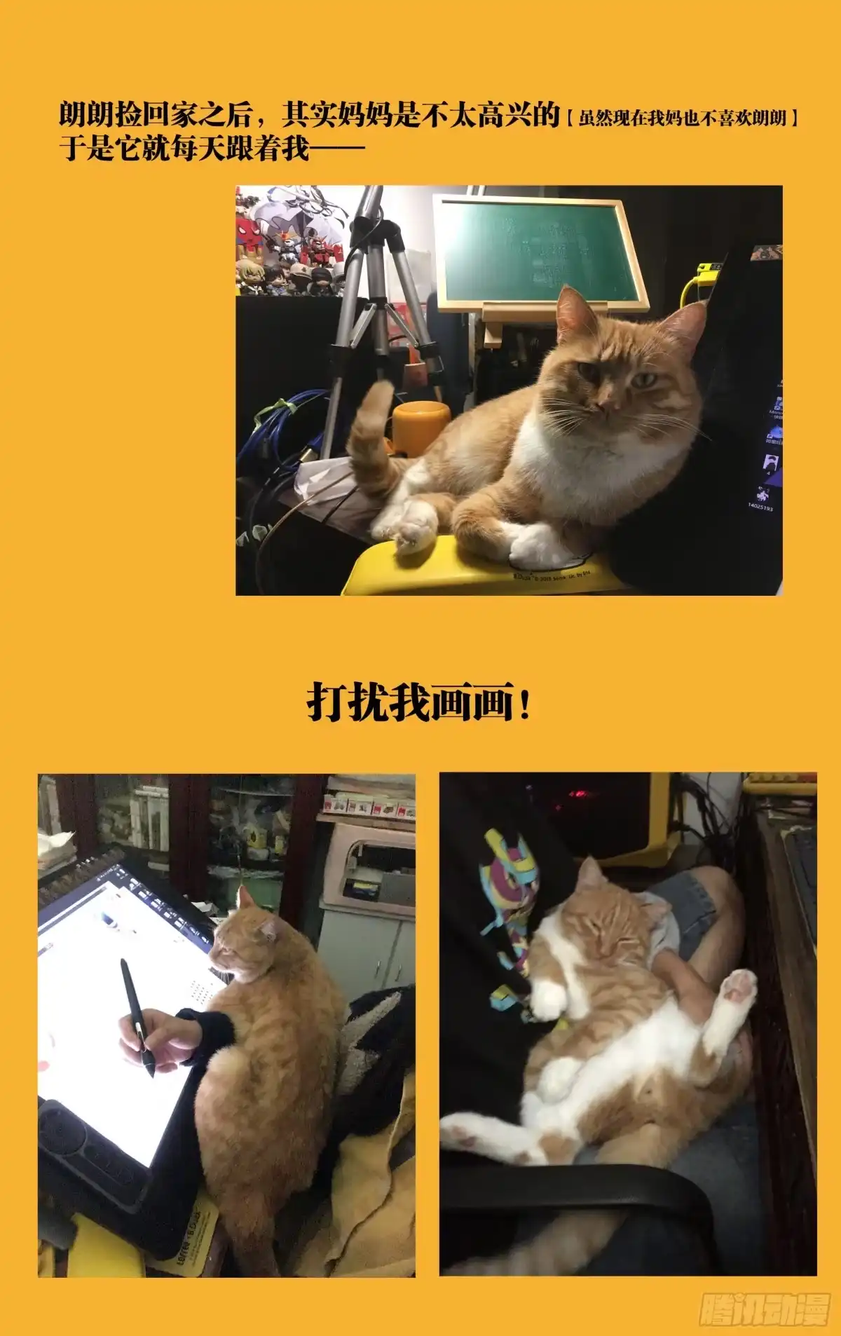 《我的上帝视角》038-宝库 第27页