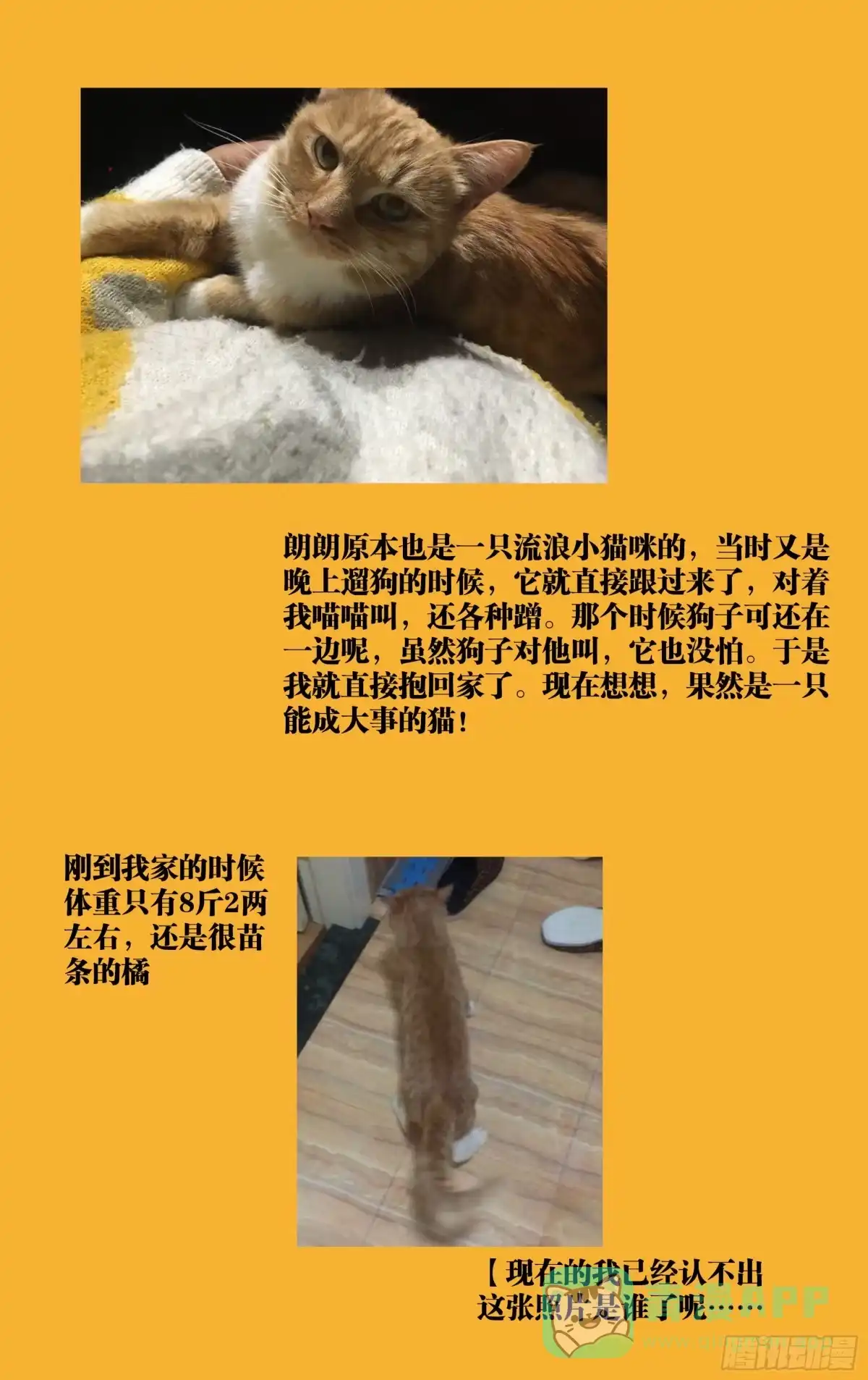 《我的上帝视角》038-宝库 第26页
