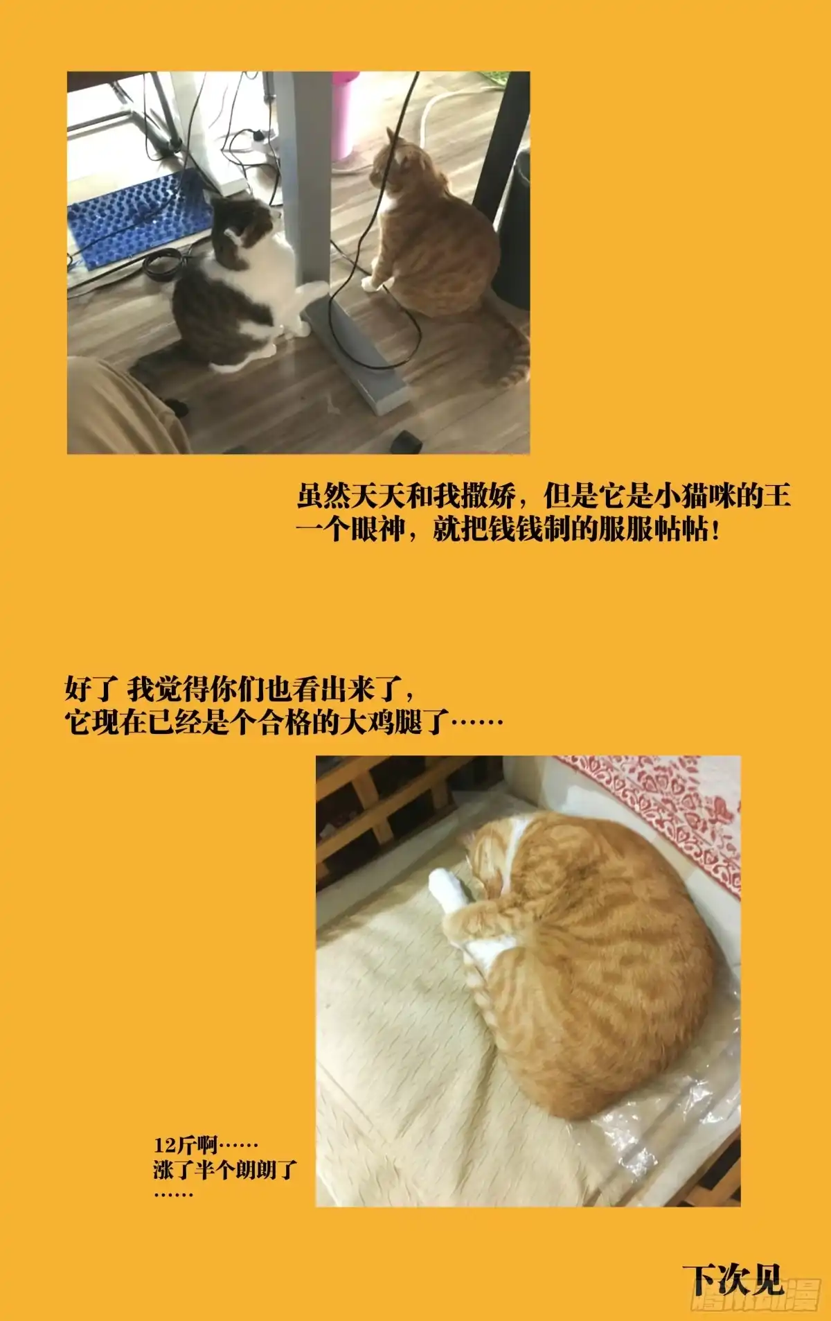 《我的上帝视角》038-宝库 第28页