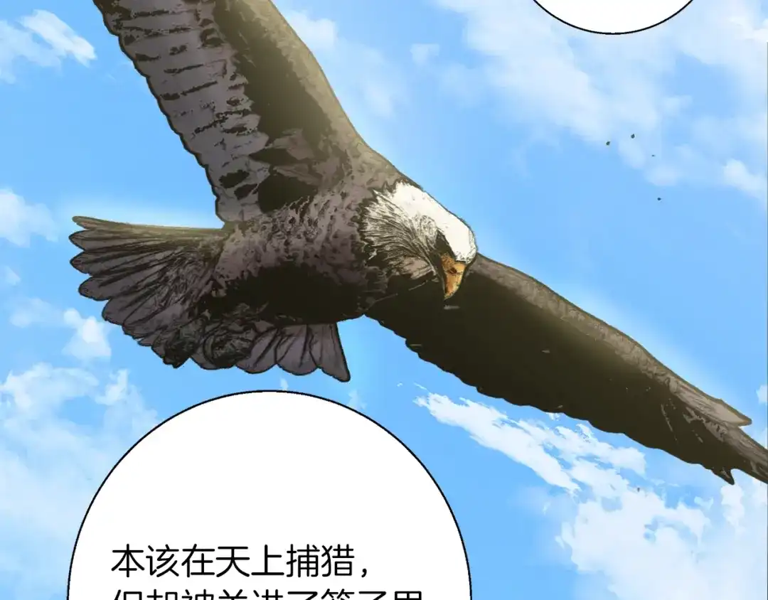 《我的神级笔记本》第91话 雄鹰 第126页