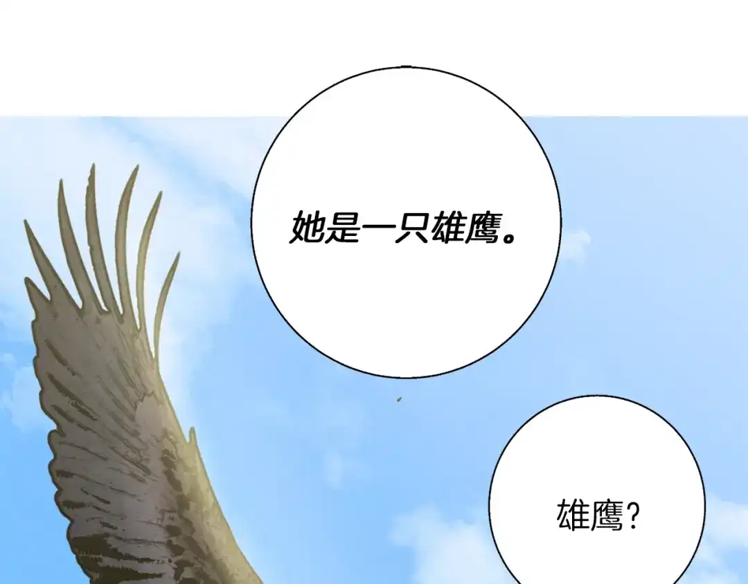《我的神级笔记本》第91话 雄鹰 第125页