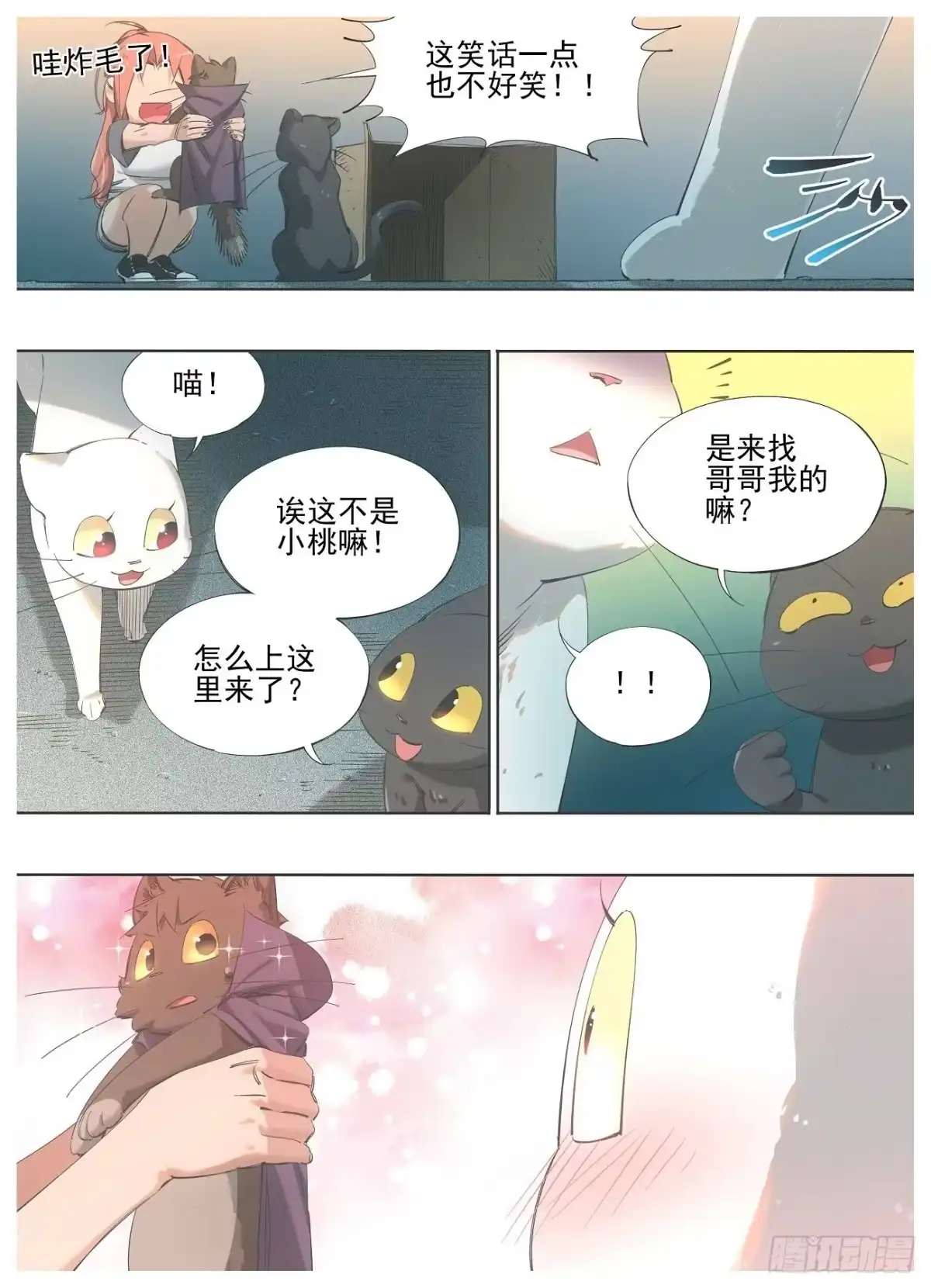 《我的铁锤少女》127.当猫挺好的 第8页