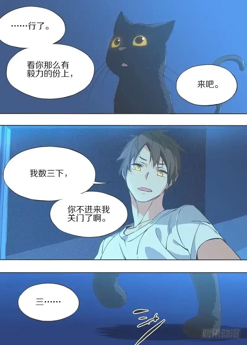 《我的铁锤少女》6.我养猫了！ 第8页