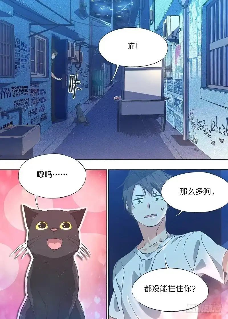 《我的铁锤少女》6.我养猫了！ 第5页