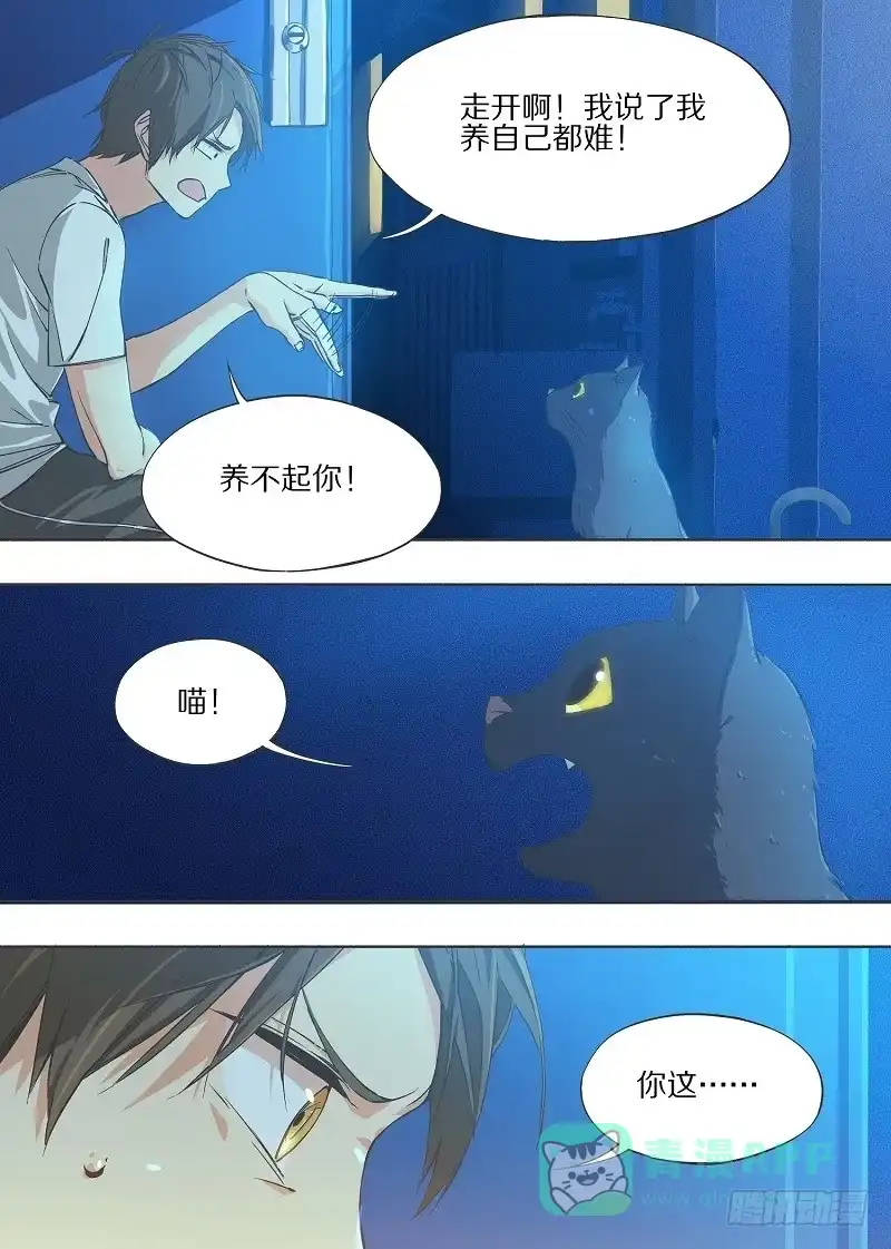 《我的铁锤少女》6.我养猫了！ 第6页