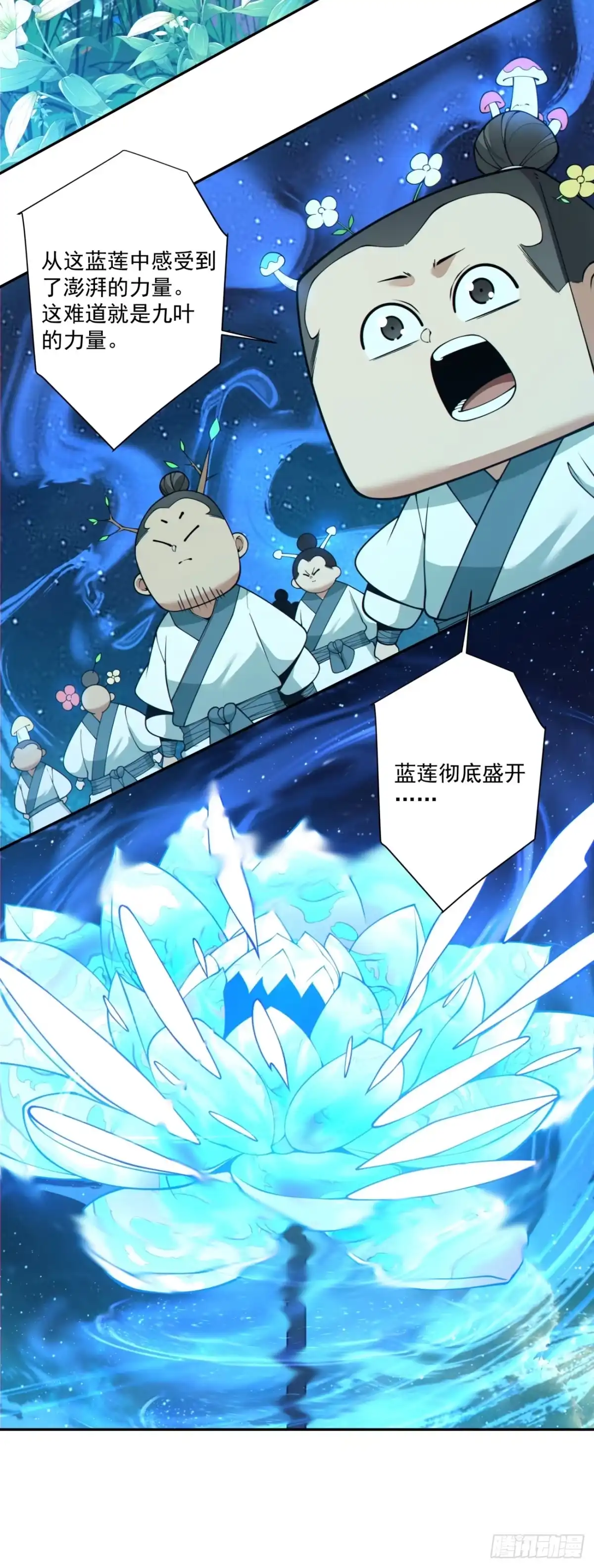 13.jpg