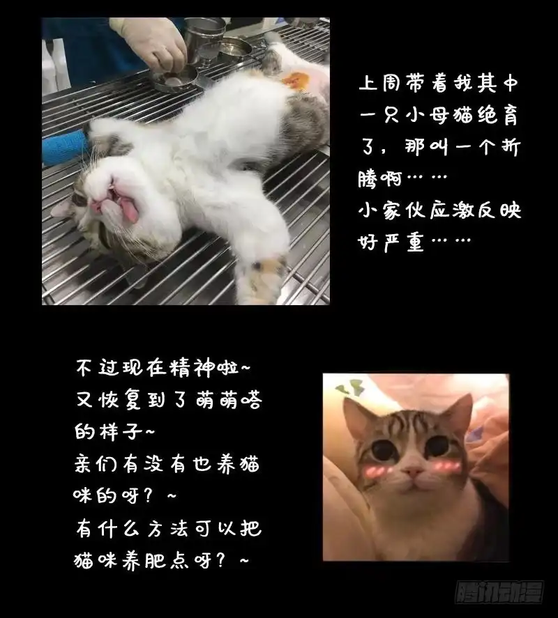 《我的影帝大人》第129话 影帝生气 2 第42页