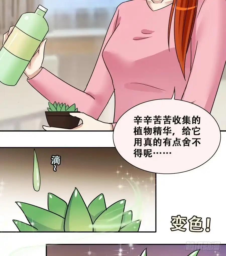 《我的影帝大人》第252话 变异多肉3 第31页