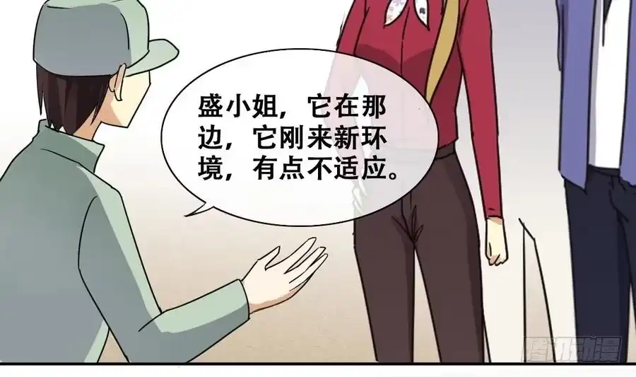 《我的影帝大人》第264话 马场骑马 3 第19页