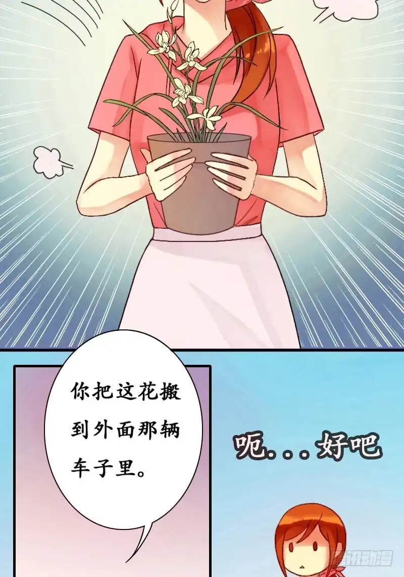 《我的影帝大人》第5话 兰花枯萎（一） 第13页