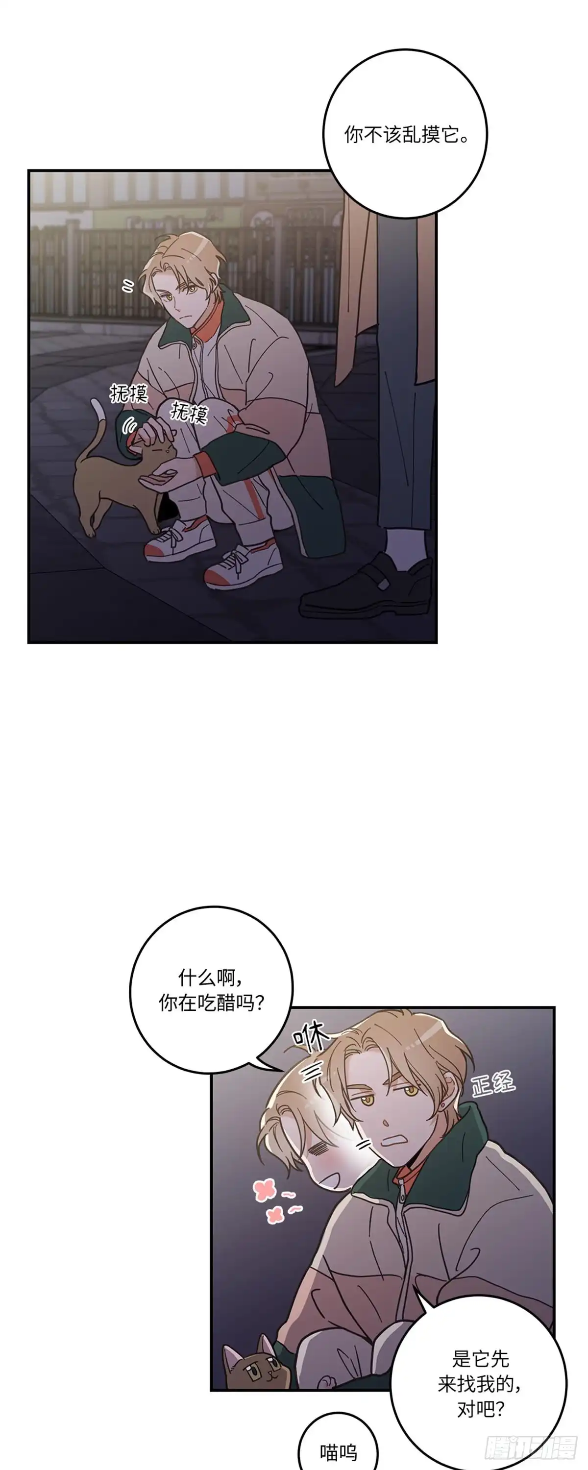 我独一无二的猫咪 第9话 第15页