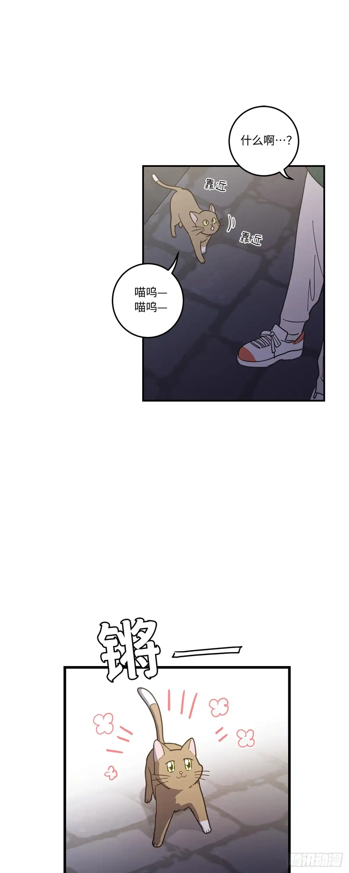 我独一无二的猫咪 第9话 第12页