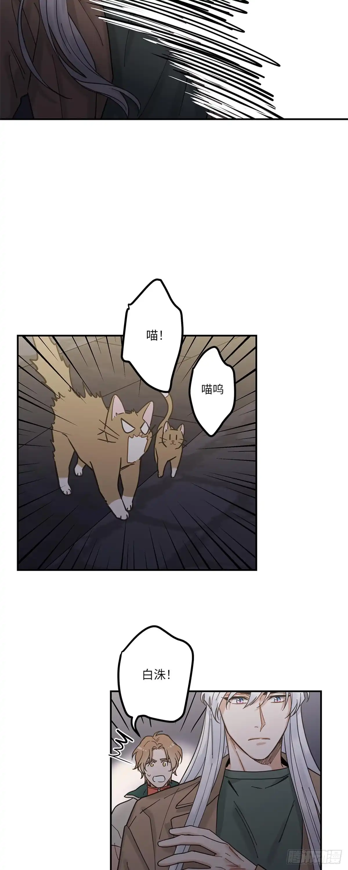 我独一无二的猫咪 第9话 第19页
