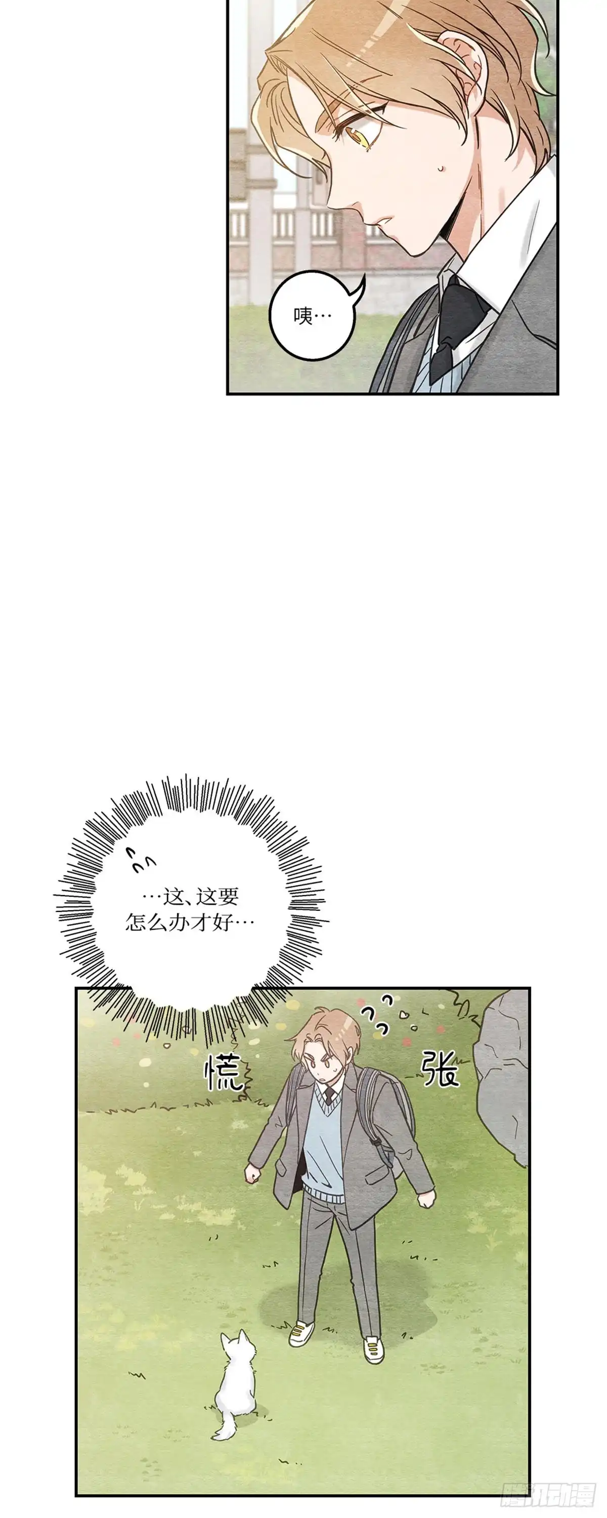 我独一无二的猫咪 第10话 第11页