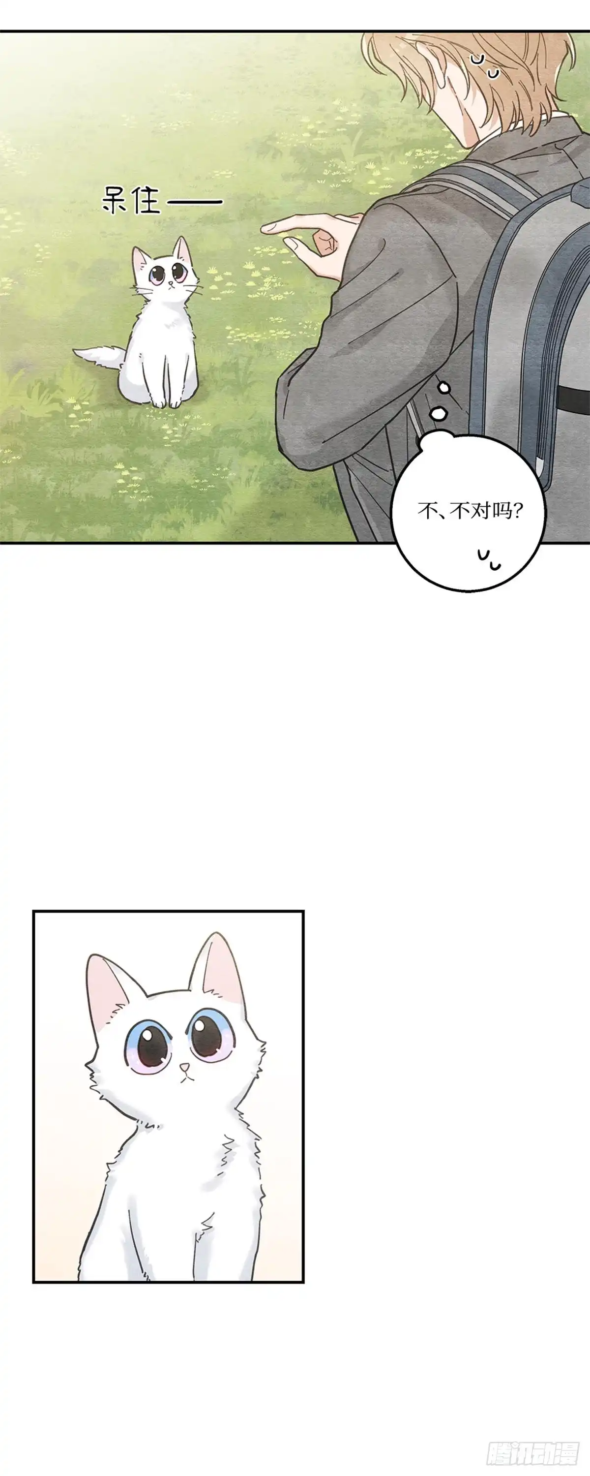 我独一无二的猫咪 第10话 第13页