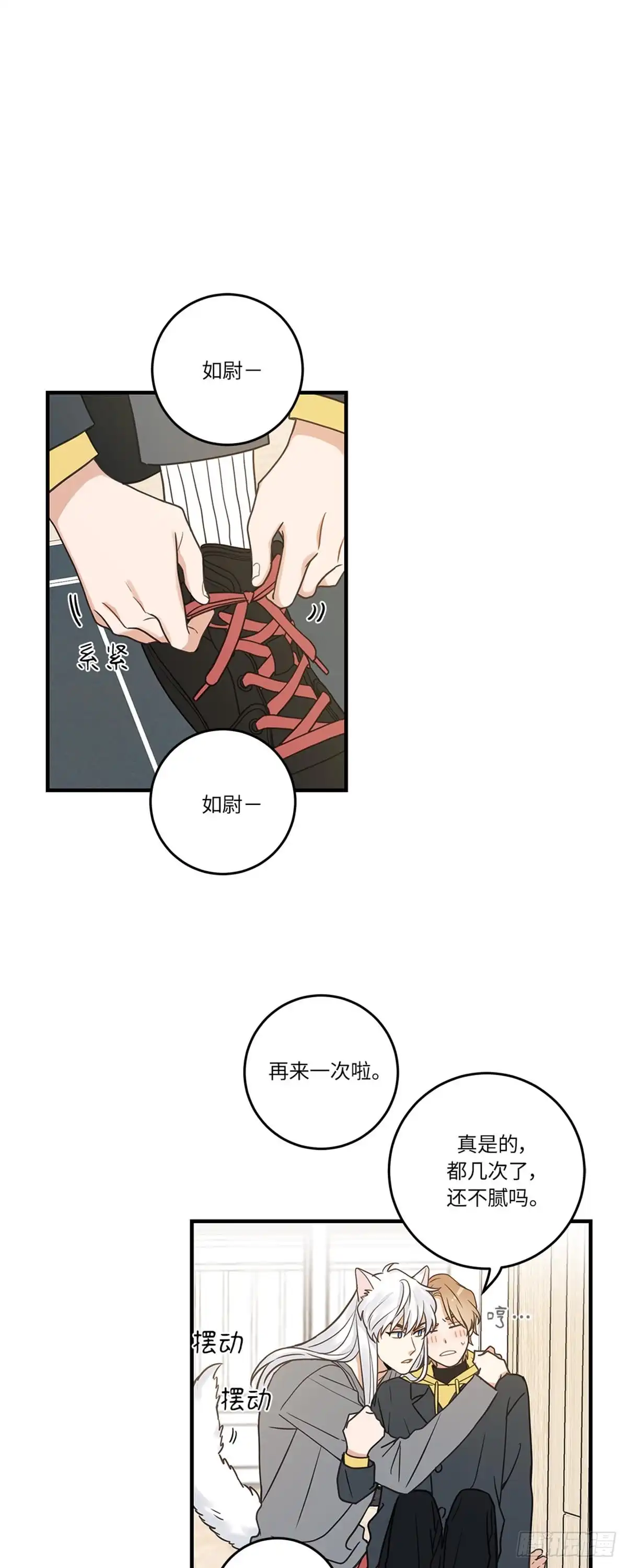 我独一无二的猫咪 第13话 第1页