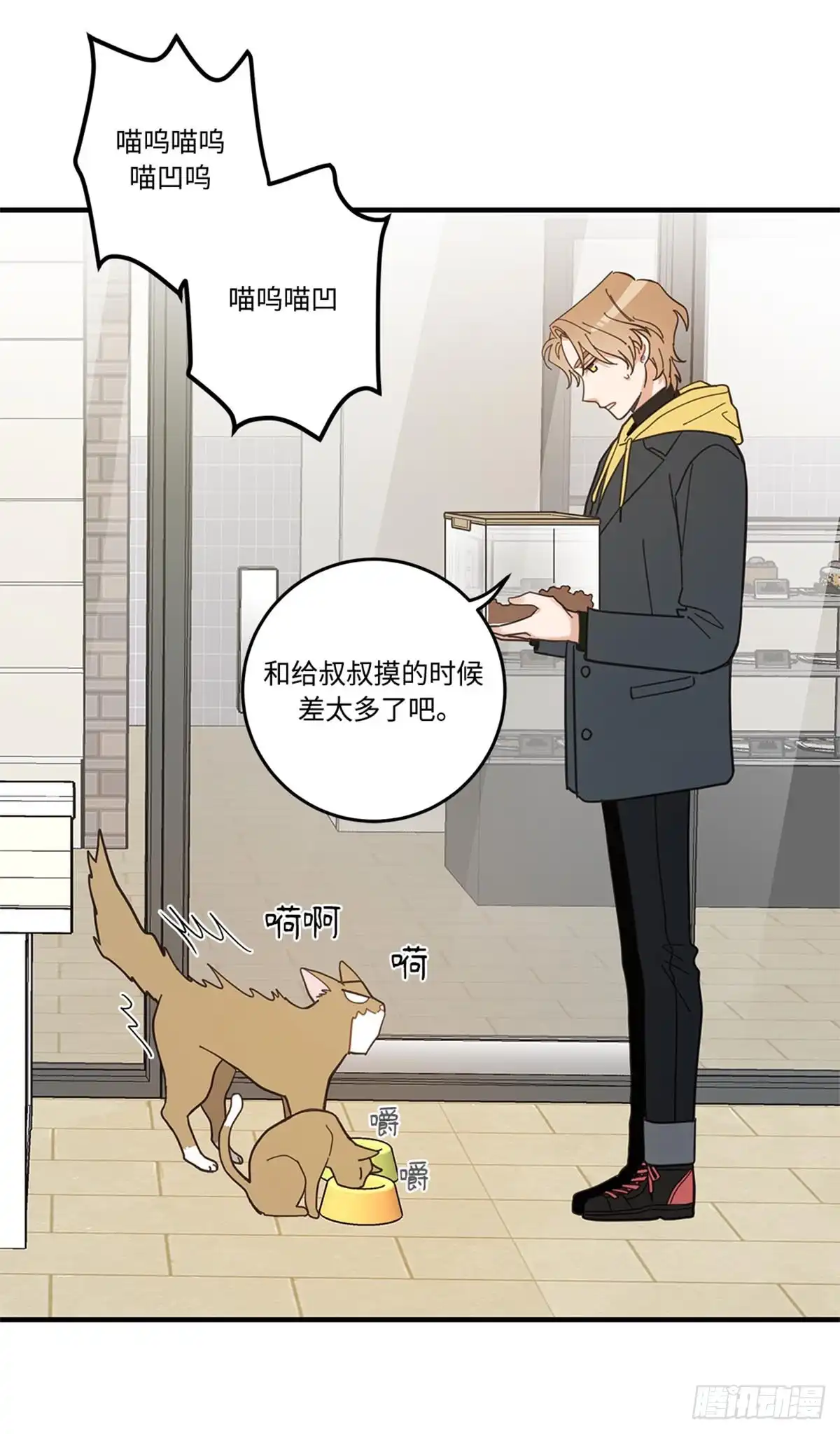 我独一无二的猫咪 第13话 第16页