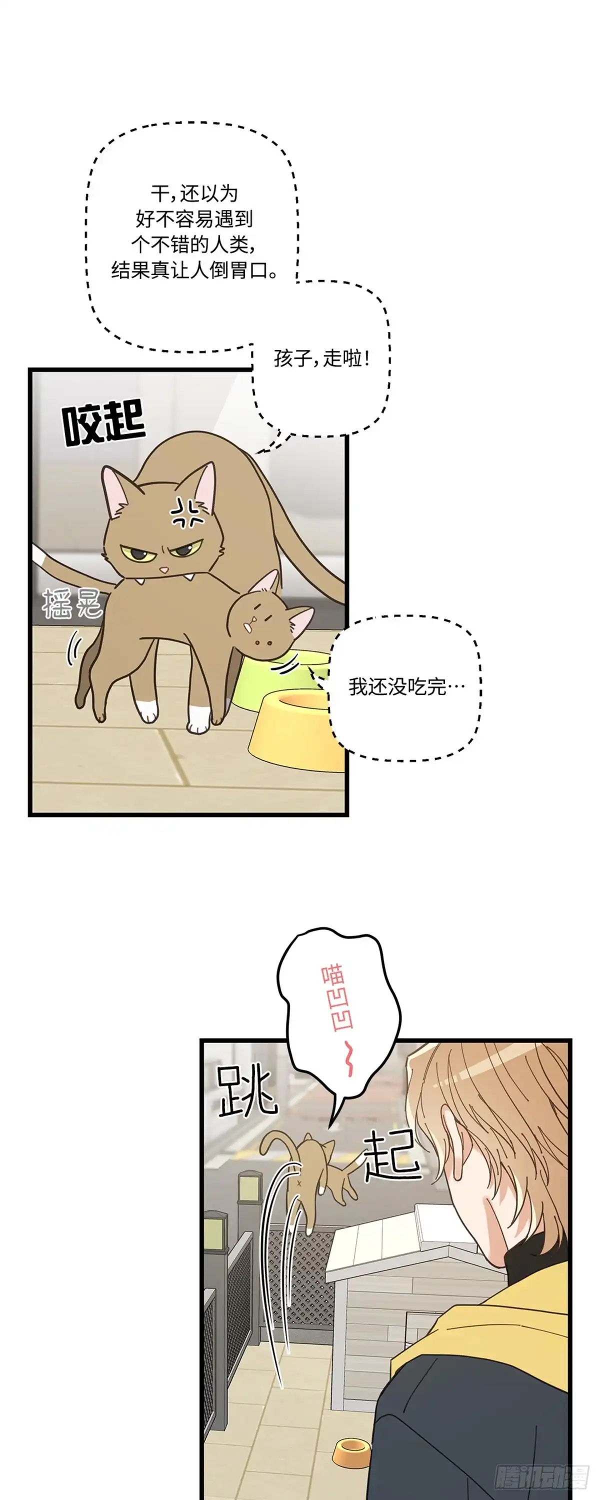 我独一无二的猫咪 第13话 第17页